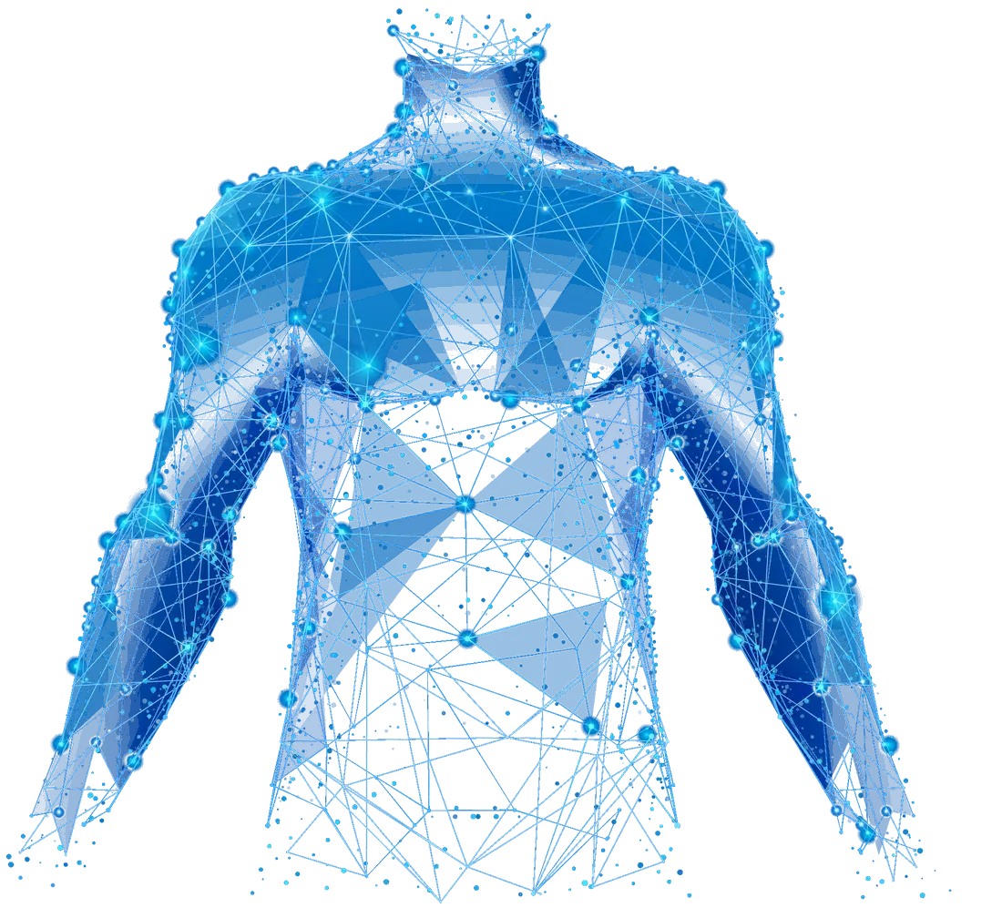 Wireframe human figure with the major body systems lit up as connected nodes